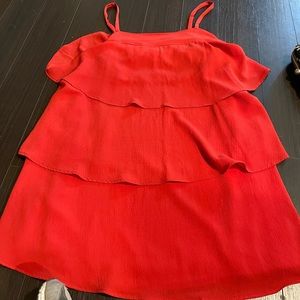 Impeccable Pug Flapper Dress